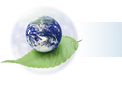 ecology